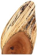 The Sentinel | Live Edge Spalted Red Oak Centerpiece